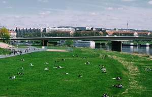 Mehr Grün für ein gesundes Stadtklima